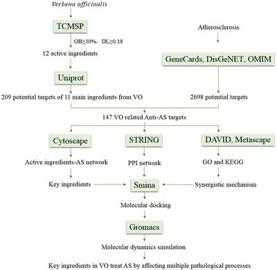 Key ingredients in Verbena officinalis and determination of their anti-atherosclerotic effect using a computer-aided drug design approach
